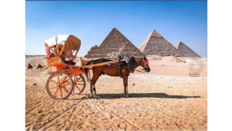 cairo-sightseeing