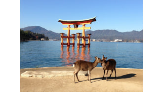 hiroshima-sightseeing