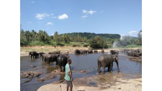 bentota-sightseeing