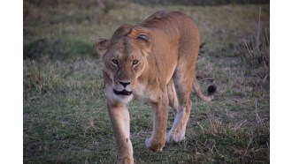 nairobi-sightseeing