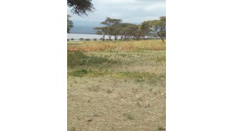 naivasha-sightseeing