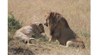 nairobi-sightseeing