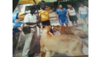 banjul-sightseeing