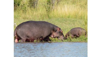 arusha-sightseeing