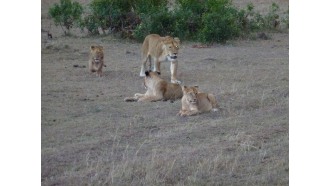 mombasa-sightseeing