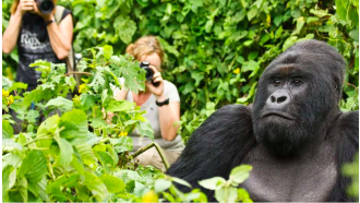 kigali-sightseeing