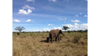 arusha-sightseeing