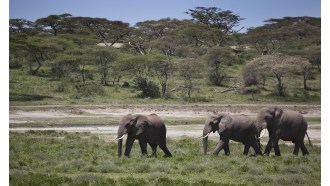 arusha-sightseeing