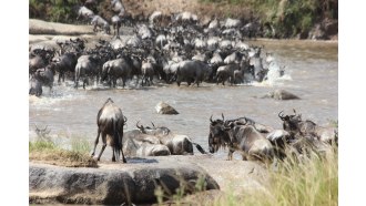 mountkilimanjaro-sightseeing