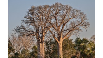 antsirabe-sightseeing