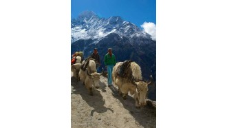 pokhara-sightseeing