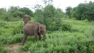 colombo-sightseeing