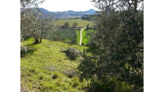 montepulciano-sightseeing