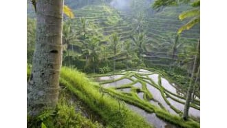 bali-sightseeing