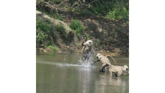 sagarmathanationalpark-sightseeing