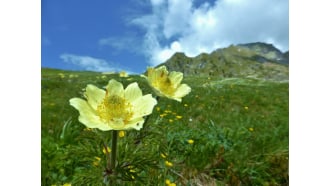 aosta-sightseeing