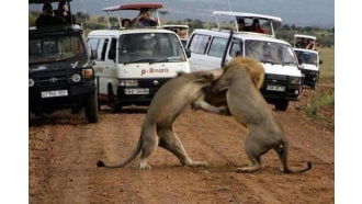 mombasa-sightseeing