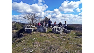 istria-sightseeing