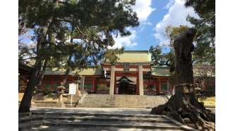 nara-sightseeing