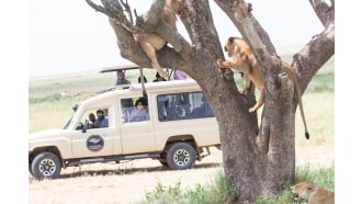 arusha-sightseeing