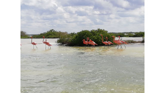 cancun-sightseeing