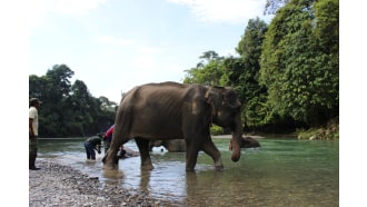 medan-sightseeing