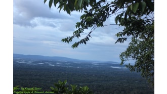 rupununiriver-sightseeing