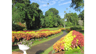 kandy-sightseeing