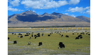 lhasa-sightseeing