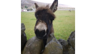 kilkenny-sightseeing