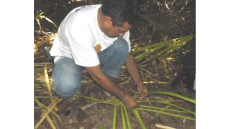 manaus-sightseeing