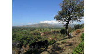 addisababa-sightseeing