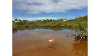 galapagosislands-sightseeing