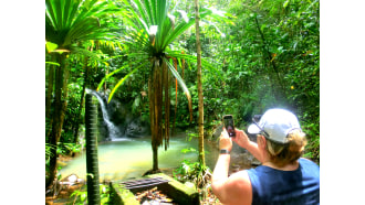 suva-sightseeing