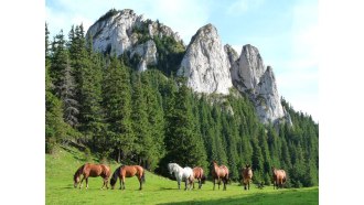 brasov-sightseeing