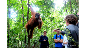 medan-sightseeing