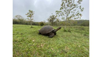 galapagosislands-sightseeing