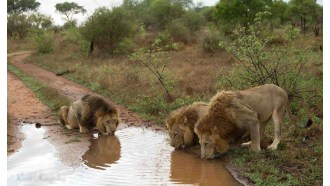 bulawayo-sightseeing