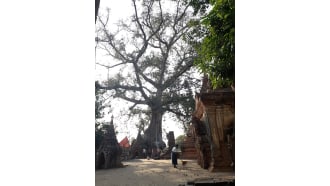 mandalay-sightseeing