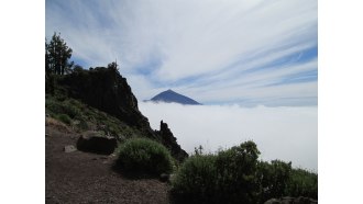 santacruzdetenerife-sightseeing