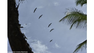 turrialba-sightseeing