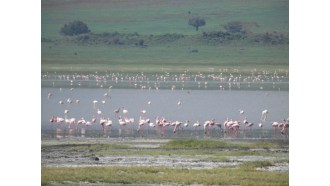 arusha-sightseeing