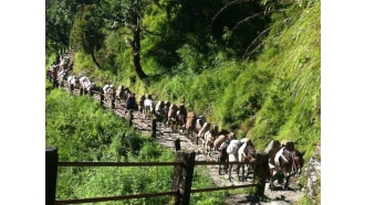 everestbasecamp-south-sightseeing