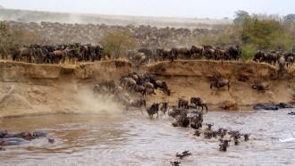 arusha-sightseeing