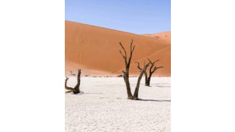 namib-naukluftnationalpark-sightseeing