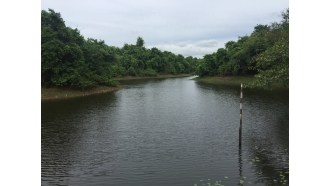 yangon-sightseeing