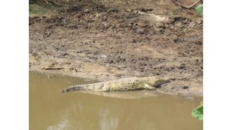 arusha-sightseeing