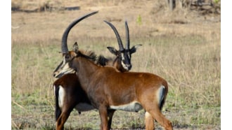 lusaka-sightseeing