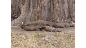 arusha-sightseeing