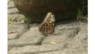 monteverde-sightseeing